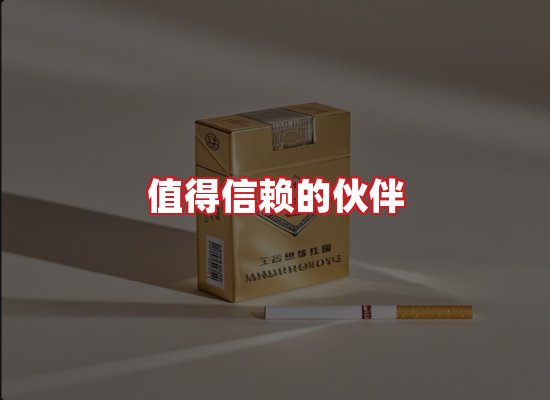 专业团队
